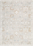 Trend Floral Beige Multi Transitional Rug - T400